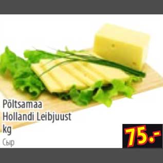 Allahindlus - Põltsamaa Hollandi Leibjuust