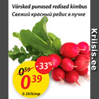 Allahindlus - Värske punased redised kimbus