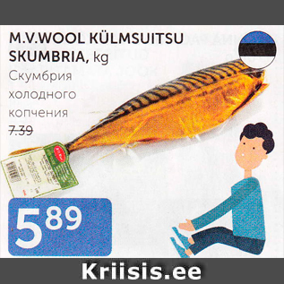 Allahindlus - V.W. WOOL KÜLMSUITSU SKUMBRIA, KG