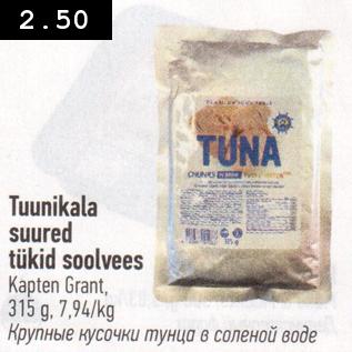 Allahindlus - Tuunikala suured tükid soolvees