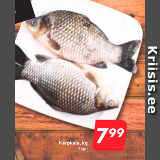 Скидка - Карп