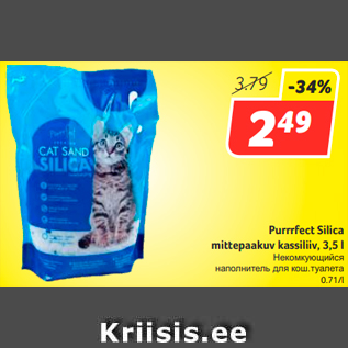 Allahindlus - Purrrfect Silica mittepaakuv kassiliiv