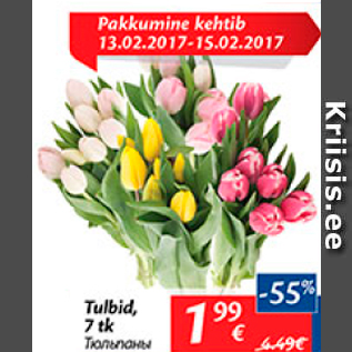 Скидка - Тюльпаны