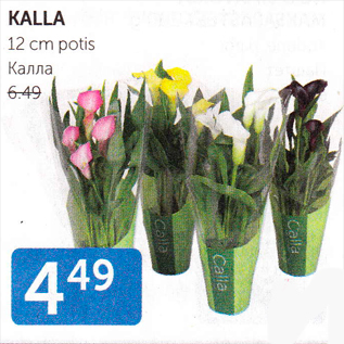 Allahindlus - KALLA