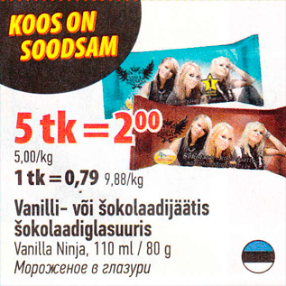 Allahindlus - Vanilli- või šokolaadijäätis šokolaadiglasuuris