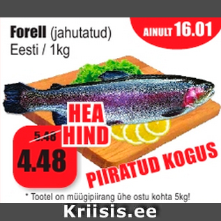 Allahindlus - Forell (jahutatud) Eesti / 1kg