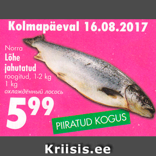 Allahindlus - Norra Lõhe jahutatud