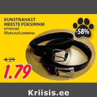 Allahindlus - KUNSTNAHAST MEESTE PÜKSIRIHM