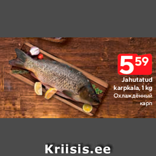 Allahindlus - Jahutatud karpkala, 1 kg