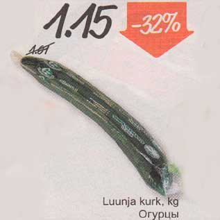 Allahindlus - Luunja kurk, kg