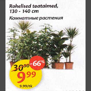 Скидка - Комнаmные расmенuя