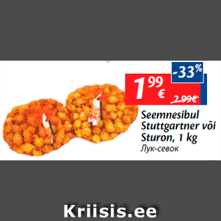 Allahindlus - Seemnesibul Stuttgartner või Sturon, 1 kg