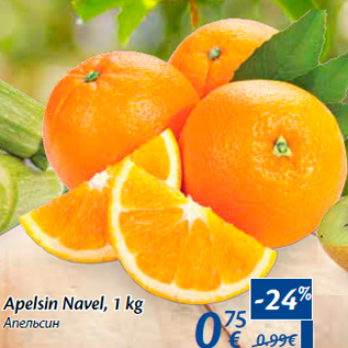 Allahindlus - Apelsin Navel, 1 kg