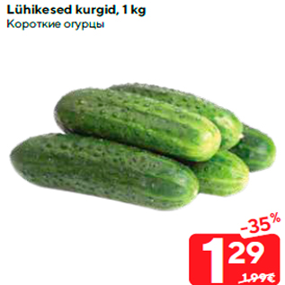 Allahindlus - Lühikesed kurgid, 1 kg