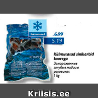 Allahindlus - Külmutatud sinikarbid koorega 1 kg