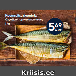 Allahindlus - Kuumsuitsu skumbria; 1 kg