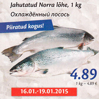 Allahindlus - Jahutatud Norra lõhe, 1 kg