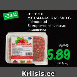 Allahindlus - ICE BOX METSMAASIKAS 300 G