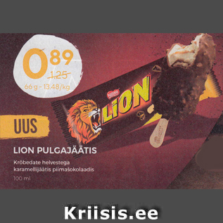 Allahindlus - LION PULGAJÄÄTIS