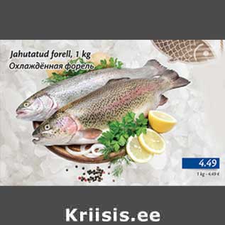 Allahindlus - Jahutatud forell, 1 kg