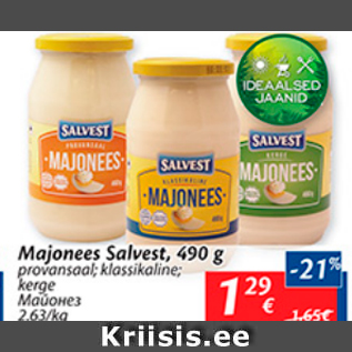 Allahindlus - Majonees salvest, 490 g