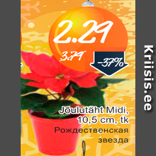 Скидка - Рождественская звезда