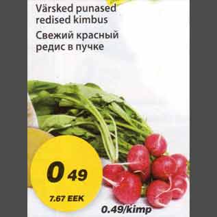 Скидка - Свежий красный редис в пучке