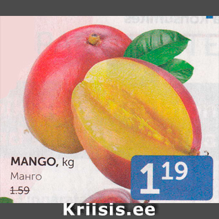 Allahindlus - MANGO, KG