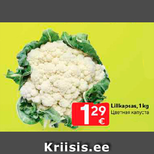 Allahindlus - Lillkapsas, 1 kg