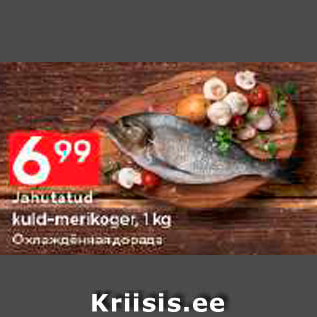 Allahindlus - Jahutatud kuld-merikoget, 1 kg