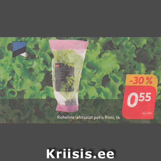 Скидка - Зеленый салат в горшочке Rimi, шт