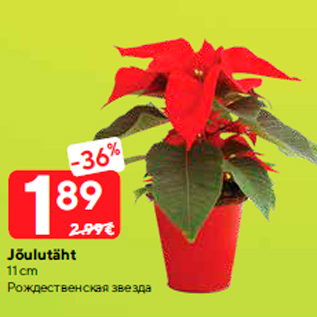 Allahindlus - Jõulutäht 11 cm