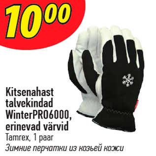 Allahindlus - Kitsenahast talvekindad WinterPRO6000, erinevad värvid