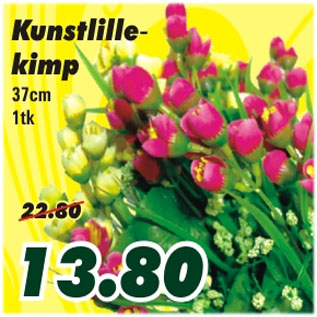 Allahindlus - Kunstlillekimp