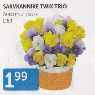 Allahindlus - SARVKANNIKE TWIX TRIO