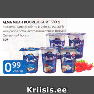 Allahindlus - ALMA MUAH KOOREJOGURT 380 G