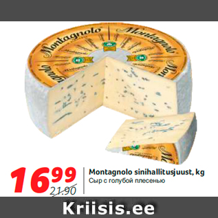 Allahindlus - Montagnolo sinihallitusjuust, kg