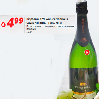 Allahindlus - Hispaania KPN kvaliteetvahuvein Cavas Hill Brut