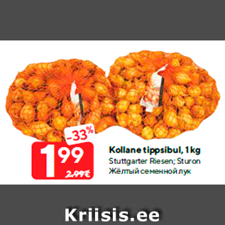 Allahindlus - Kollane tippsibul, 1 kg