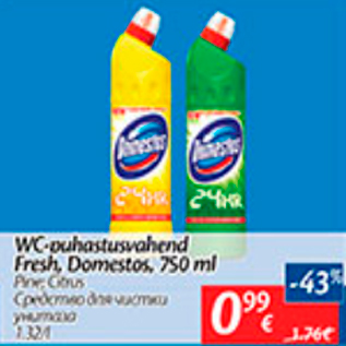 Allahindlus - WC-puhastusvahend Fresh, Domestos, 750 ml