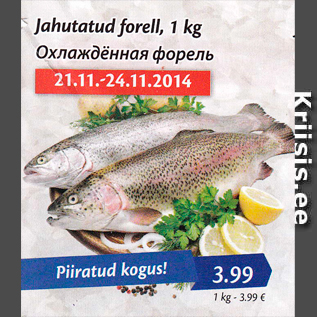 Allahindlus - Jahutatud forell, 1 kg