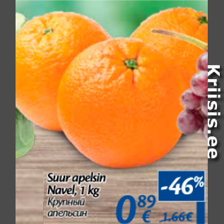 Allahindlus - Suur apelsin Navel, 1 kg