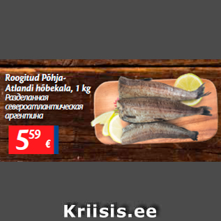 Allahindlus - Roogitud Põhja-Atlandi hõbekala, 1 kg