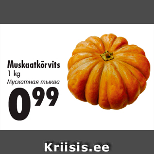 Allahindlus - Muskaatkõrvits 1 kg