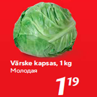 Allahindlus - Värske kapsas, 1 kg