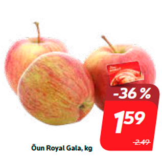 Allahindlus - Õun Royal Gala, kg