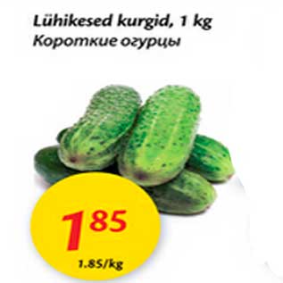Скидка - Короткие огурцы