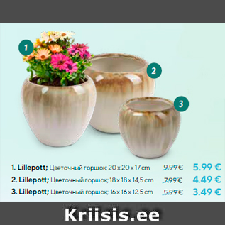 Allahindlus - 1. Lillepott; 20 x 20 x 17 cm - 5.99 € 2. Lillepott; 18 x 18 x 14,5 cm - 4.49 € 3. Lillepott; 16 x 16 x 12,5 cm - 3.49 €