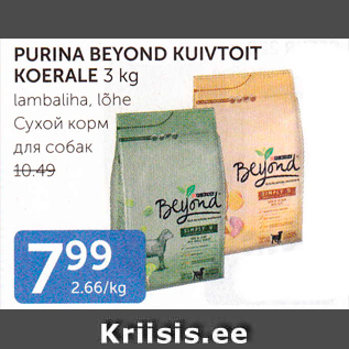 Allahindlus - PURINA BEYOND KUIVTOIT KOERALE 3 KG