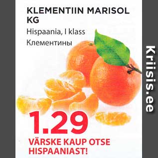 Allahindlus - KLEMENTIIN MARISOL KG